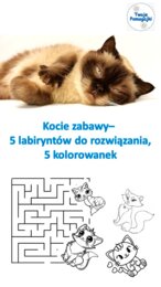 😻😻Kocie zabawy na dzień kota - labirynty i kolorowanki