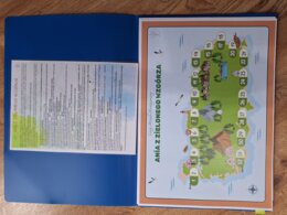 Ania z Zielonego Wzgórza - gra planszowa, grywalizacja, klasa 5-6