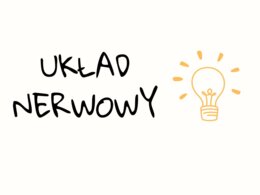 Układ nerwowy. Notatka.