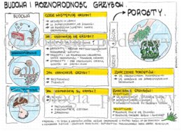 Klasa 5 - Grzyby i Porosty - budowa - kolorowa sketchnotka