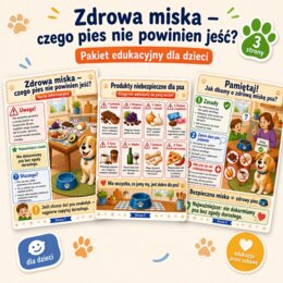 Zdrowa miska — czego pies nie powinien jeść?
