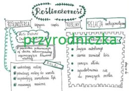 Klasa 8. Biologia. Roślinożerność