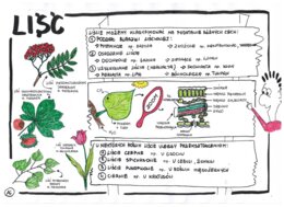 Liść - klasa 5