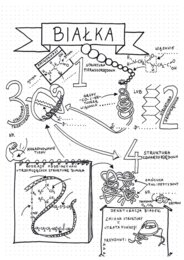Poziomy organizacji białek