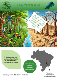 Plakaty o ochronie zagrożonych gatunków zwierząt i roślin.