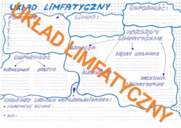 UKŁAD LIMFATYCZNY I ODPORNOŚCIOWY