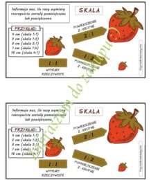 Skala - wklejka do zeszytu.