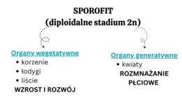 nasiono + korzeń KLASA 2 BIOLOGIA ROZSZERZONA