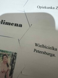 Pan Tadeusz w plastrach miodu.