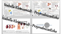 Minizestaw na temat „Higiena i choroby układu wydalniczego” – sketchnotka + karta pracy w power point + gratisowy link do prezentacji multimedialnej niekomercyjnej wykonanej w genial.ly do indywidualnego pobrania i użycia do celów niekomercyjnych. Biolog