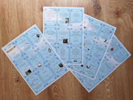 Pan Tadeusz - Ja mam... Kto ma..., gra, grywalizacja, E8