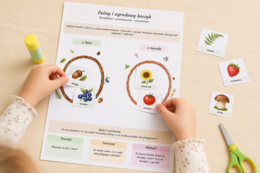 Leśny i ogrodowy koszyk – klasyfikacja