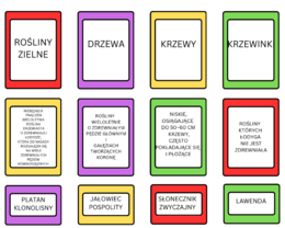 Formy morfologiczne roślin okrytonasiennych