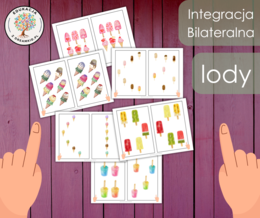 Integracja bilateralna - lody
