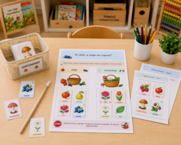 Co zjeść, a czego nie zrywać? – sortowanie obrazków