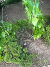 Tropem przyjaźni - gotowy do druku zestaw do zabawy, która porwie całą szkołę!