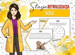 Stacja: RYWALIZACJA! Klasa 8. Chemia. Sole. Powtórzenie wiadomości. Stacje zadaniowe. Praca grupowa. Zadanie. Gra dydaktyczna. MOC powtórki.