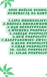 Szybkie rączki - drzewa liściaste