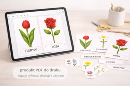Moje pierwsze kwiaty – karty obrazkowe dla 2–4-latków