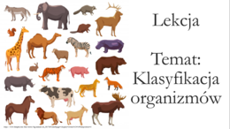 Klasa 5 - Klasyfikacja organizmów - prezentacja