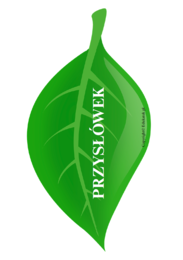 Gramatyczne ślimaki – utrwalanie gramatyki