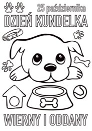 Dzień Kundelka - plakat, opaski