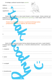 II część Dziadów - słownictwo, rozprawka