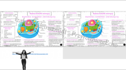 Mini zestaw do tematu „Budowa komórki zwierzęcej” - sketchnotka + karta pracy + gratisowy link do prezentacji multimedialnej niekomercyjnej wykonanej w genial.ly do indywidualnego pobrania i użycia do celów niekomercyjnych. Biologia klasa 5, dział II „. 