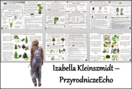 Zestaw sketchnotek/notatek/streszczeń/wklejek/ściąg dla ucznia i nauczyciela/edukacja domowa w pdf. Biologia 5 dział „Mchy. Paprotniki. Nagonasienne. Okrytonasienne”. Notatki zostały wykonane na podstawie podręcznika z wydawnictwa WSiP.