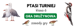 Lekcja biologii w terenie, gra terenowa "Ptasi turniej" dla klas 4-6