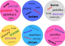 Gra Dobble ortograficzne - wersja kolorowa
