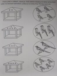 Ptaki zimą karty pracy