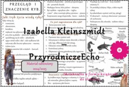 Sketchnotka/książeczka/notatka/wklejka/ściąga dla ucznia i przypomnienie dla nauczyciela/edukacja domowa. Temat „Przegląd i znaczenie ryb”. Materiał w pdf. Biologia 6, dział „Kręgowce zmiennocieplne”. Nowość 2024/2025.
