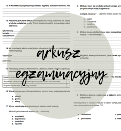 Arkusz egzaminacyjny ("Młodość")