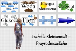 Materiał do zalaminowania/praca w grupach/stacje zadaniowe/układanka - "Samożywność", "Fotosynteza" w pdf. Biologia 5, dział „Budowa i czynności życiowe organizmów”. Nowość 2024/2025.