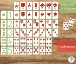 Kodowanie podłogowe - muchomory