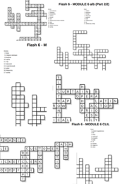 Flash 6 – Module 6 – krzyżówki