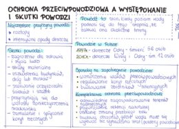 Ochrona przeciwpowodziowa a występowanie i skutki powodzi (sn)