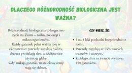Prezentacja o ekologii. Ochrona środowiska, różnorodność biologiczna, działania ekologiczne. Zrównoważony rozwój.