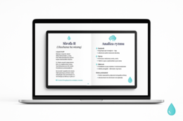 Deszcz w literaturze polskiej