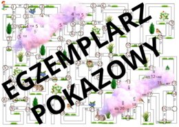 LABIRYNT DODAWANIE I ODEJMOWANIE