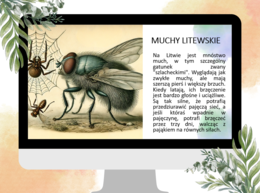 Prezentacja - księga II "Pan Tadeusz" Adam Mickiewicz - romantyzm, egzamin ósmoklasisty