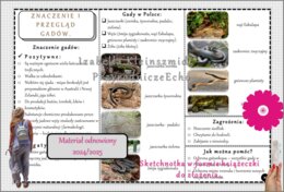 Sketchnotka/książeczka/notatka/wklejka/ściąga dla ucznia i przypomnienie dla nauczyciela/edukacja domowa. Temat „Przegląd i znaczenie gadów”. Materiał w pdf. Biologia 6, dział „Kręgowce zmiennocieplne”. Nowość 2024/2025.