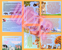 Gazetka - Światowy Dzień Zwierząt