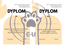 Dyplomy / wkładki na zakończenie roku szkolnego