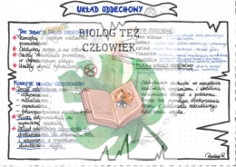 PRZYRODA - Ciało człowieka - Układ oddechowy - kolor