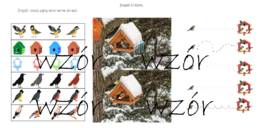 Ptaki zimą - pakiet