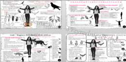 Zestaw sketchnotek – notatek do całego działu „Kręgowce stałocieplne” wykonanych w power point do edycji. Biologia 6