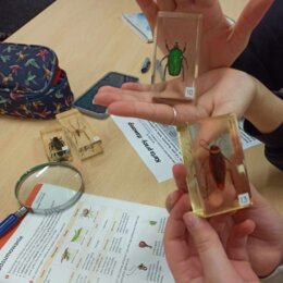 Karta pracy - stawonogi