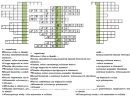 Korzeń - biologia - wprowadzenie do tematu - logogryf